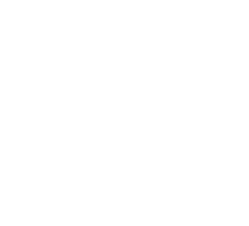 © ITSolutionZ, Inc